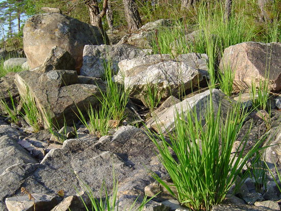 Die Natur hat mich überzeugt (und der Sonnenschein natürlich auch!)