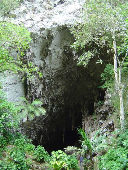 Cueva del Guácharo