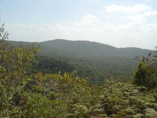 Das Amazonasgebiet