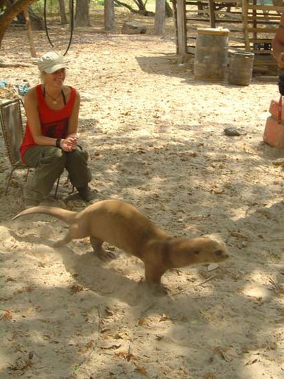 Tine und der Riesenotter