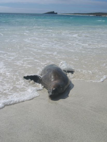 ...schwimmen tun sie auch gerne...