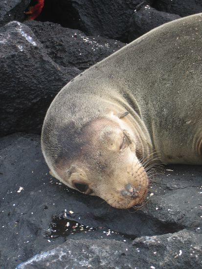 und nebst ihrem gemuetlichen Leben doch interessiert, wer hier herumspaziert!