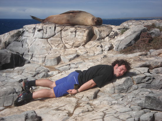 ...waehrend Dani sich direkt zu den Seeloewen gesellte!