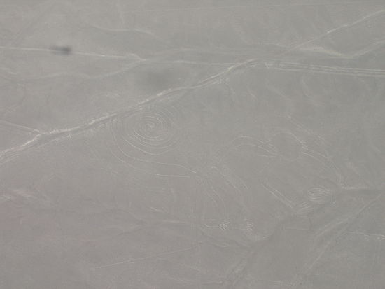 nur fuer gute Augen: "The Monkey" von den Nazca-Linien...