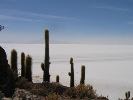 Isla Incahuasi und soweit das Auge sah nur Salz, Salz, Salz