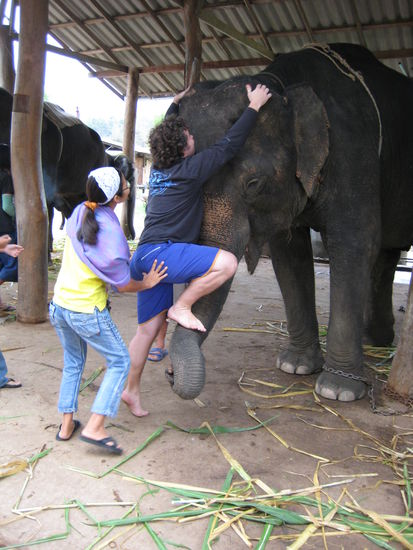 der wackelige Aufstieg auf den Elefanten