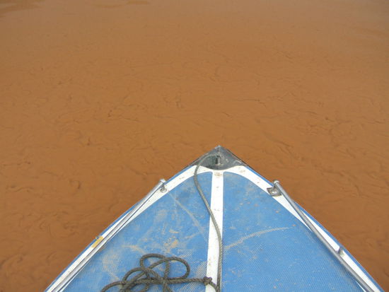 Blick nach vorne....