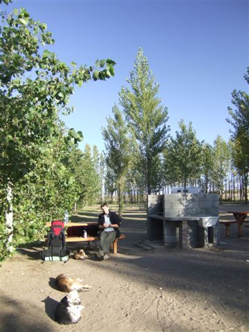 So schaut ein typischer Campground in Argentinien aus...eine Parilla und die Hunde gehoeren einfach immer dazu!