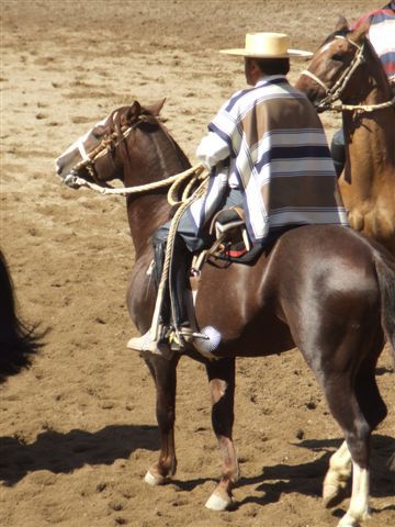 Hier ein komplett ausgeruesteter Huasu, das chilenische Aequivalent zum Gaucho