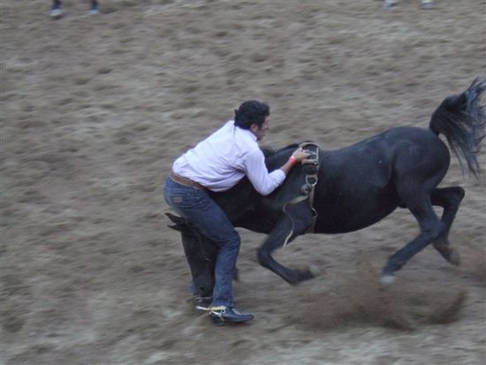Ein voellig Wahnsinniger hat sich auf dem Pferd gedreht, es ausgehebelt und ueber sich geworfen....das kann sicherlich auch gewaltig in die Hose gehen!!