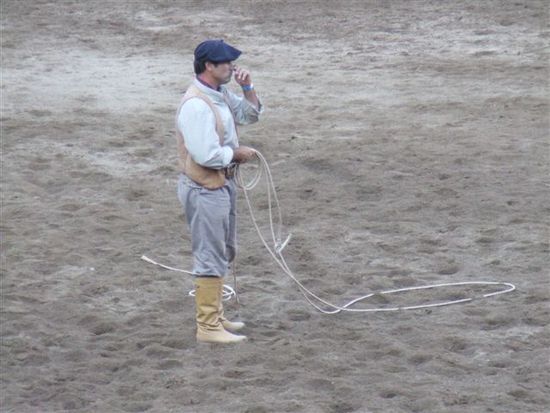 Manche der wilden Pferde werden per Lasso eingefangen bzw. gezwungen einen Vorwaertssalto zu schlagen.....nicht schoen anzuschauen!