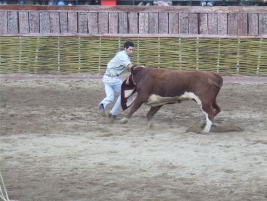 Andere versuchen dann auch mal die spanische Variante!