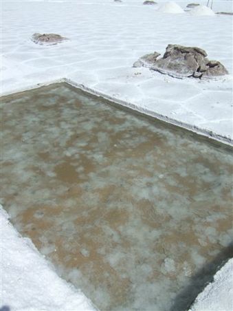 ....die Salzkristalle schwimmen an der Wasseroberflaeche werden groesser und schwerer bis sie zu Boden sinken.