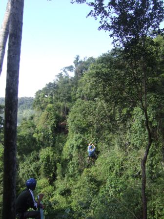 Flying Fox:"I would die for it" waren die Worte des Maedels, die uns diese Tour hier geschenkt hat! ???