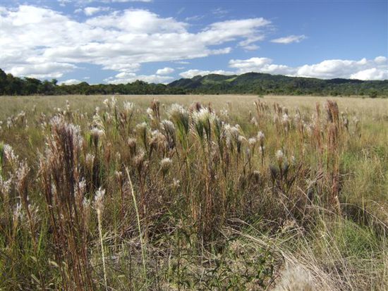 Auch ohne Ameisenbaeren geniessen wir die schoene Landschaft