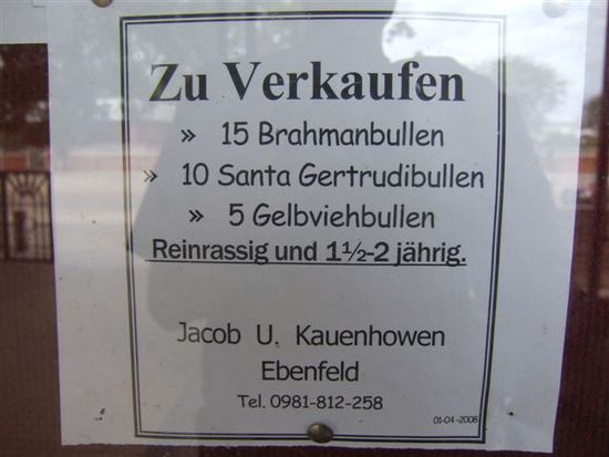 ...gibts hier Bullen...