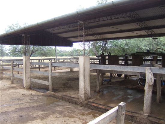 Die beiden betreiben eine Milchwirtschaft und beliefern die Molkerei taeglich mit ueber 600Liter Milch