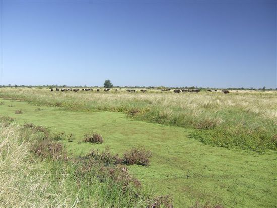 ...treten wir den Rueckweg zur Estancia zu Fuss an...