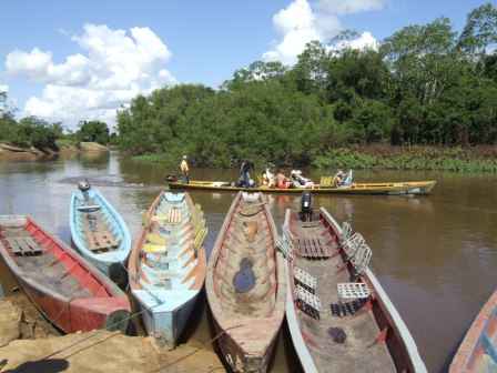 Am Rio Yacuma