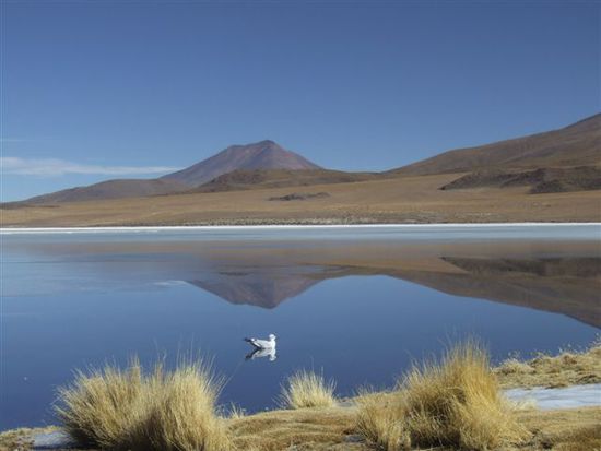 Die Laguna Cañapa erreichen wir zur Mittagszeit.