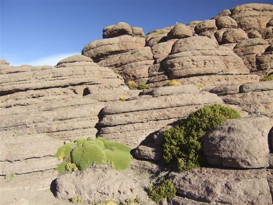 In diesen Felsen...