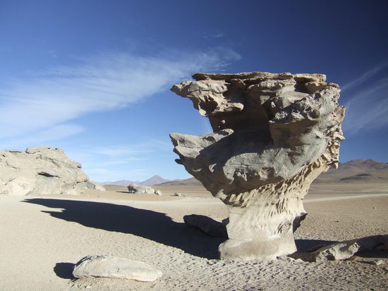Arbol de Piedra - "Baum aus Stein"