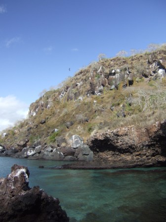 Frigate bird hill