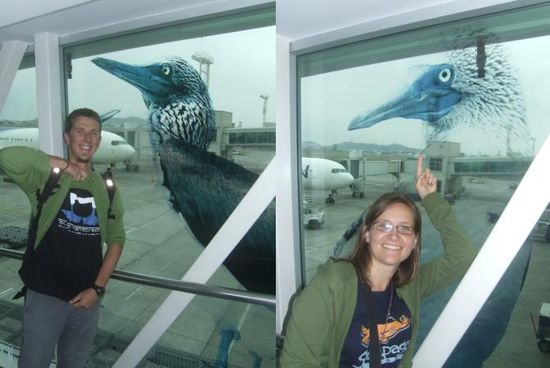 Letzter Abschied vom Boobie am Flughafen