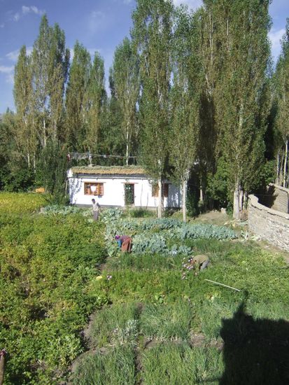 Blick aus unserem Fenster in den Garten der Familie