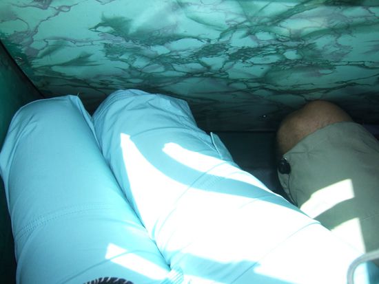 Das ist wohl nur ein kleiner Vorgeschmack (Fahrdauer nur 20min) auf das, was uns bei unserer weiteren Reise durch Indien erwarten wird - na dann viel Spass!