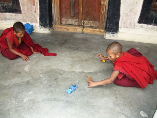 Gleich bei der Ankunft treffen wir auf diese beiden werdenden Lamas, die wie jeder andere Junge in ihrem Alter einen Riesenspass mit den aufziehbaren Autos haben....