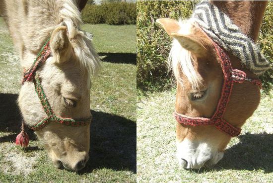 ...die zwei Weiba'leit: die Kloane (3) und die Grosse (6)...