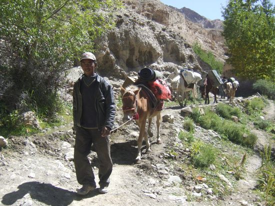 Zeding und seine Arbeiter