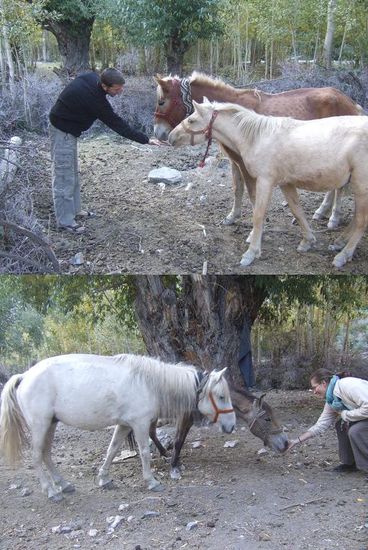 ...damit wir es abends immer an unsere Freunde verfuettern koennen. Der "Oide" (unten,hinten) bekommt selbstverstaendlich immer das groesste Stueck ab 