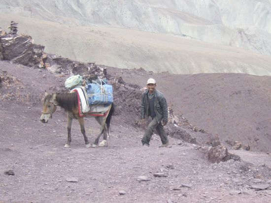 5min nach uns trifft auch Zeding mit dem "Oidn" ein....Hut ab, das Pferd haelt in seinem Alter wirklich noch gut mit den anderen Pferden mit, die gemeinsam 9 Jahre juenger sind als er alleine!!!
