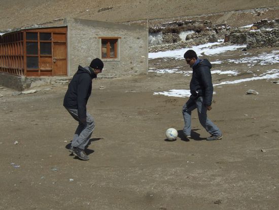 Entscheidet selbst, wer besser abschneidet...