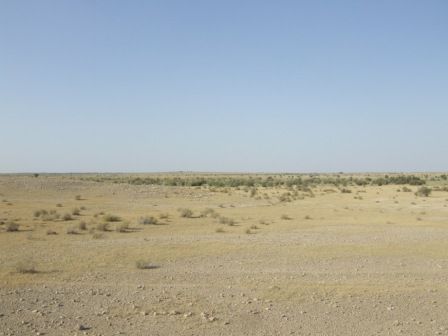 Die Wueste Thar