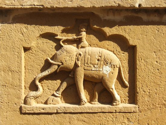 Bisher ist uns noch keine Elefant ueber den Weg gelaufen. Wir hoffen wir kriegen noch einen hier in Indien zu sehen!!