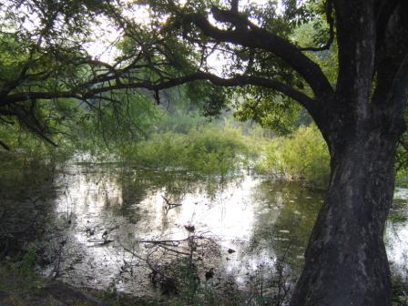 Ein idyllischer Park!