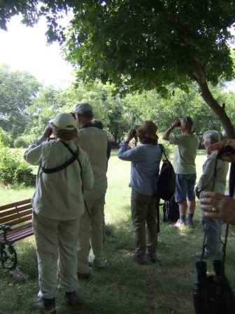 ....ploetzlich schnappt sich jeder sein Sichtgeraet und beobachtet! Hat Spass gemacht, sich mal mit so richtigen Vogelfreunden zu unterhalten und ihnen bei ihrem Hobby zuzuschauen