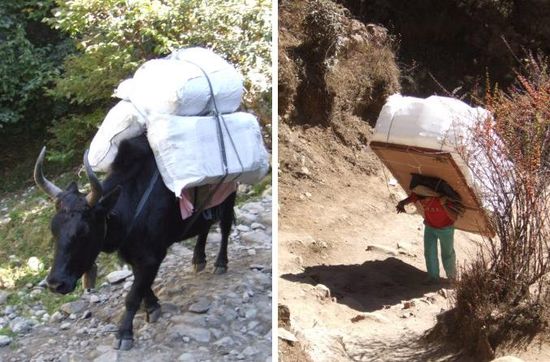 Wahnsinn, was manche Porter rumschleppen. Ein Nepali erklaert uns, dass es bei manchen ueber 100kg sind, die sie auf ihrem Ruecken tragen!!!