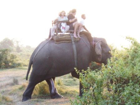 ...und treffen ab und zu auf andere Gruppen, deren Elefant sein bestes Stueck mit Stolz praesentiert! Beachtliche Groesse !!!
