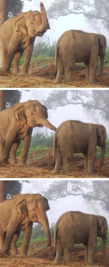 "Du Rotzloeffel, konnst nid foign wenn i dir wos sog"