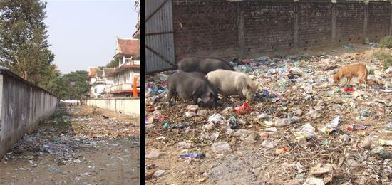 Die vielen Tempel und Pilger verhindern nicht das allzu oft gegenwaertige Bild der Muellhalde Indien! Ausserdem kommen uns an diesem Ort mehr bettelnde und arme Menschen unter als an allen anderen Orten, an denen wir bisher waren. Vielleicht liegt es daran, dass wir uns hier in dem Staat Bihar befinden und dieser als einer der aermsten Indiens gilt.