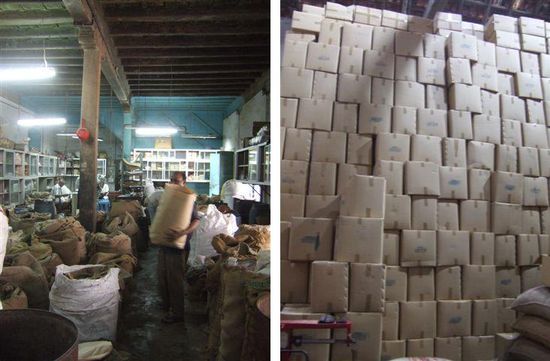 Wir besuchen einen Gewuerzladen und staunen ueber die Vielfalt