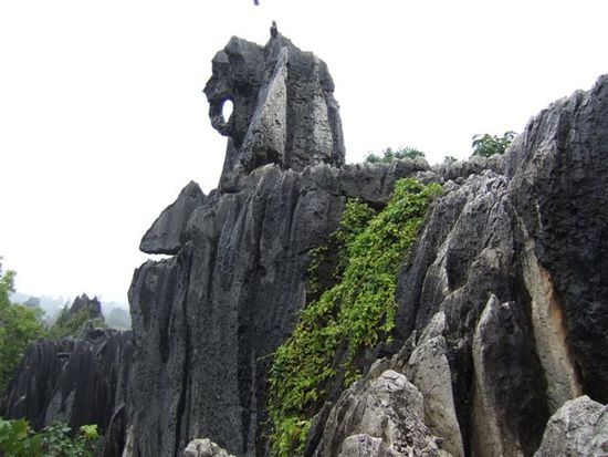 Nicht nur in Fontainebleau gibt es "The Elephant"