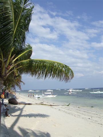 Alona Beach