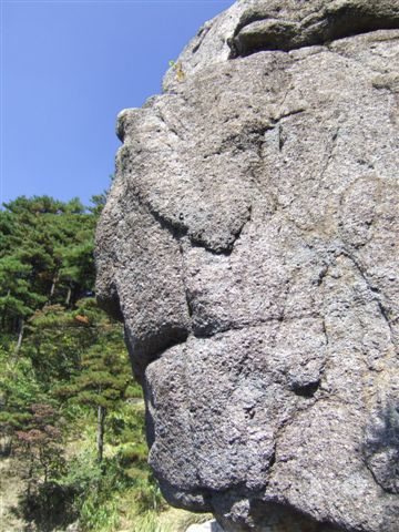 Der Steinbeisser