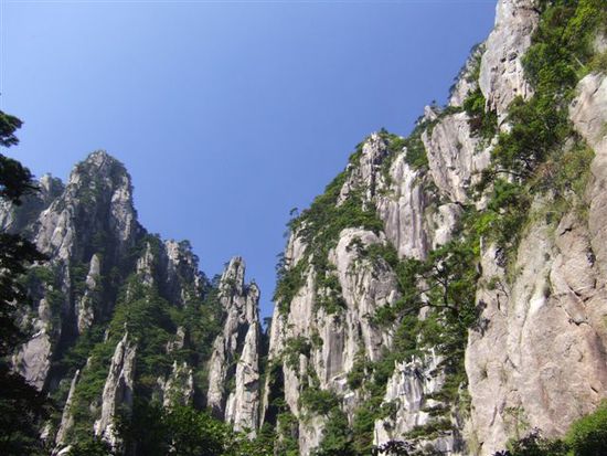 Blick aus der Schlucht nach oben
