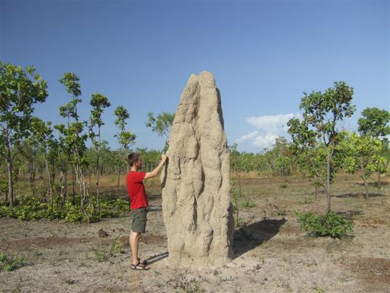 Die Bauten koennen bis zu 100 Jahre ueberdauern
